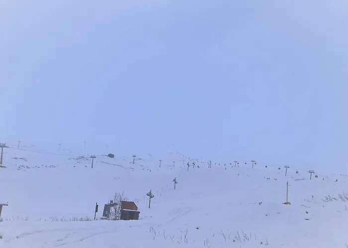 Winter Flat - Orange Ski
